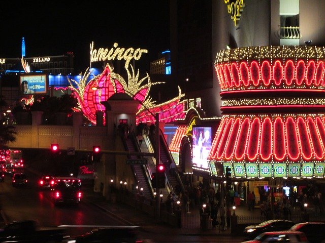 Flamingo at the night